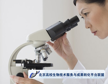 北京高校生物技術服務與成(chéng)果轉化平台聯盟